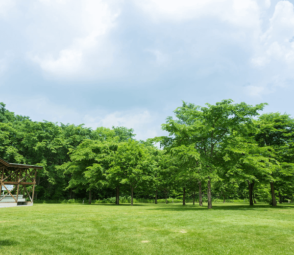 十勝ポロシリCampfield